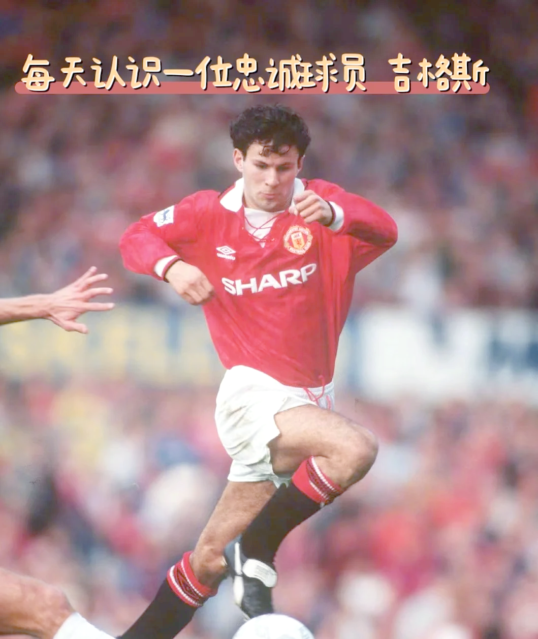 关于球员个人成就与球队荣耀共同彰显，双丰收的信息