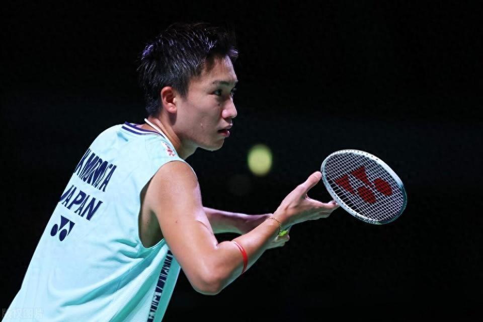 开云体育app-德国队绝杀印尼队，桃田贤斗惊艳四座的简单介绍