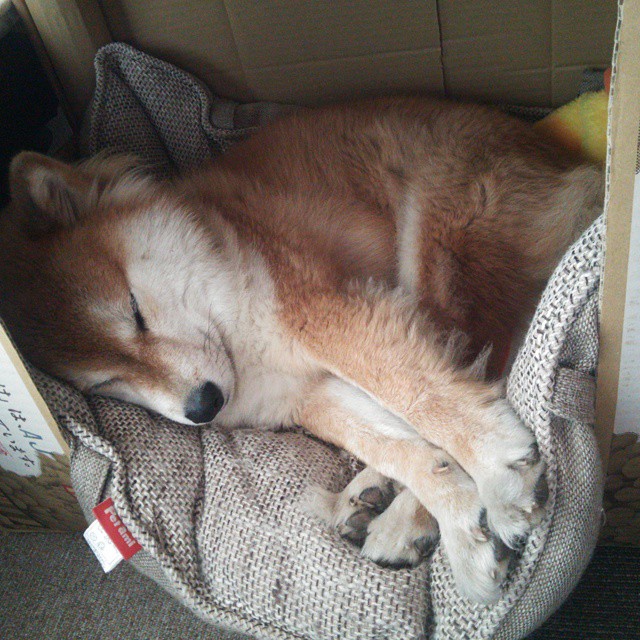 一剑封喉!帕尔默化身关键先生,新西兰力斩洪都拉斯创历史