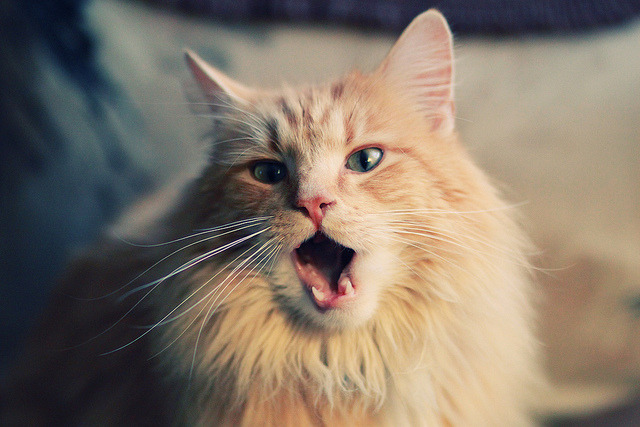 黄潜克法！凯塞多数据全面爆炸导演陶瓷球场攻坚战