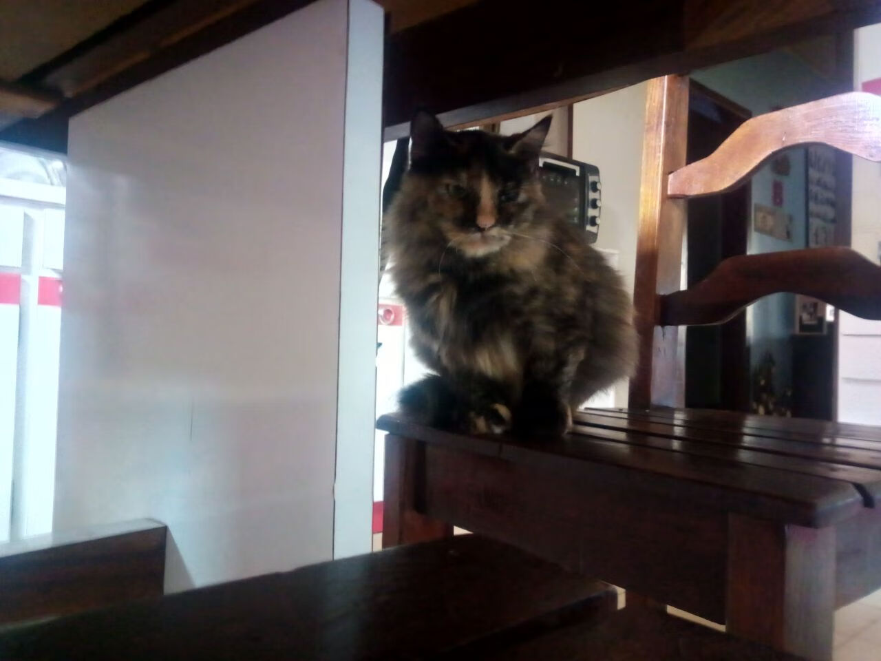 冰与火之歌，格列兹曼灵光撕裂防线，比利时读秒绝杀惊魂夜