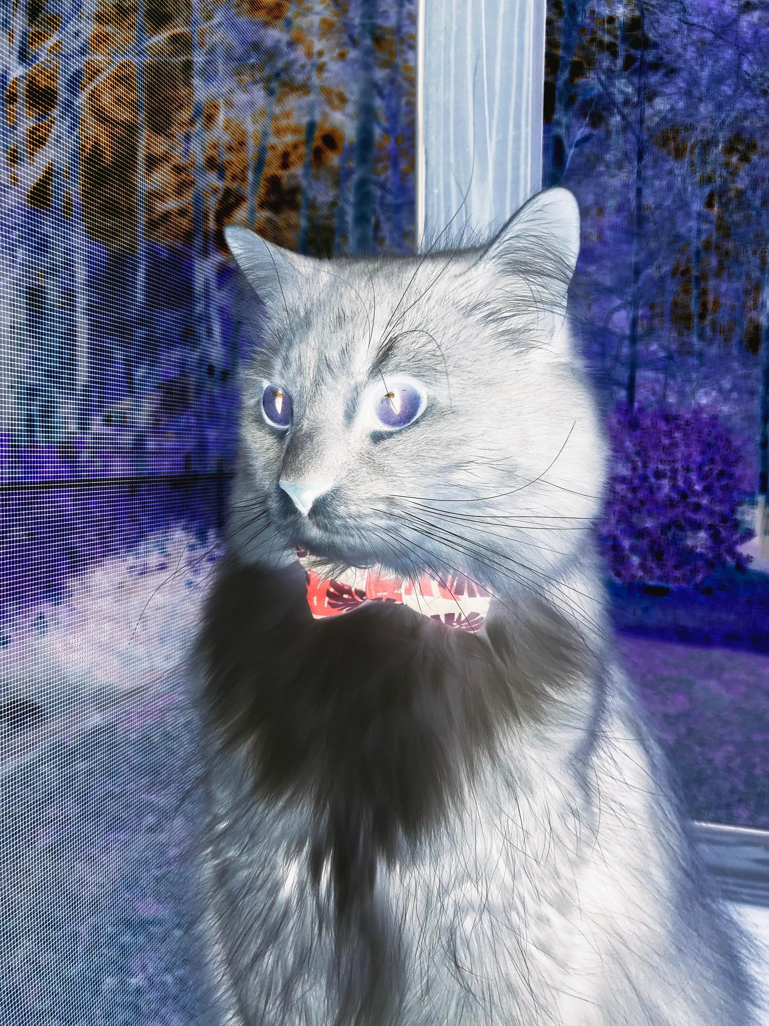 汗水滴穿排名壁垒，深圳队的稳字诀如何撼动世界棋局