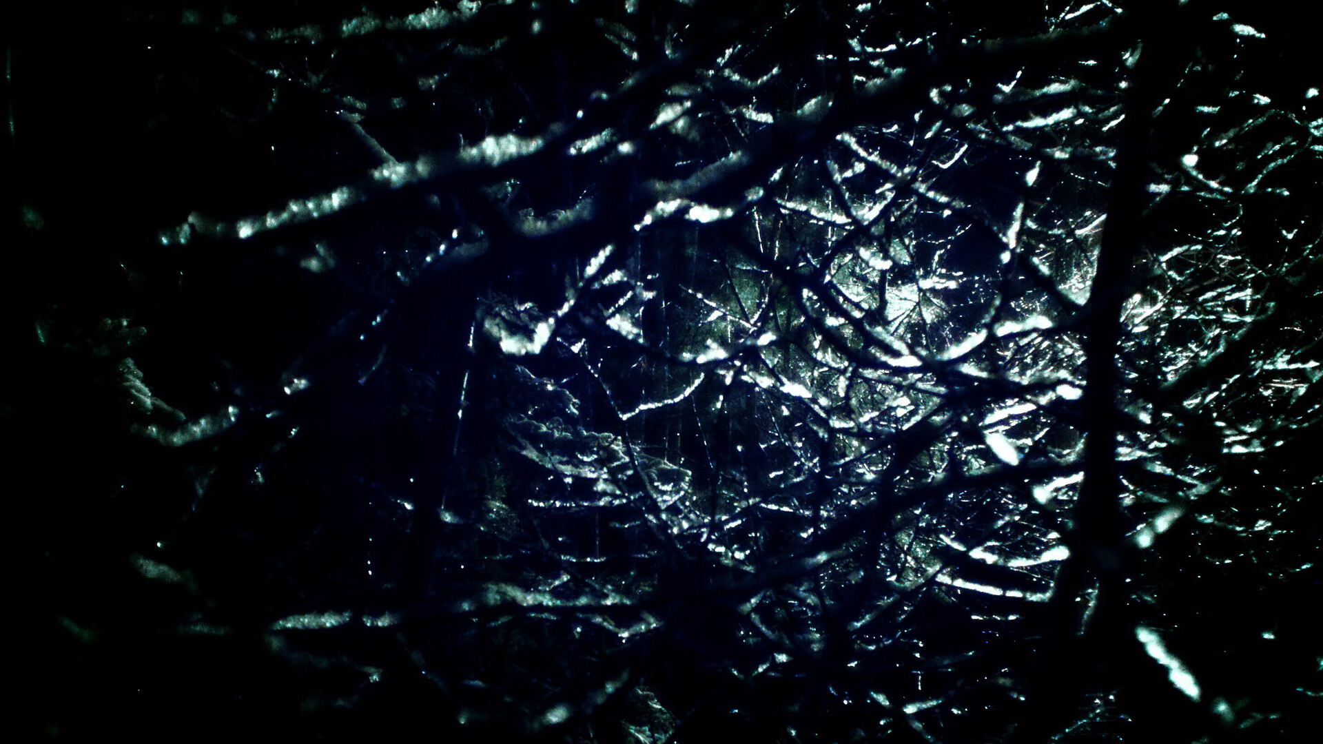 霍勒迪单骑锁乾坤,上海队关键战突围辽宁队