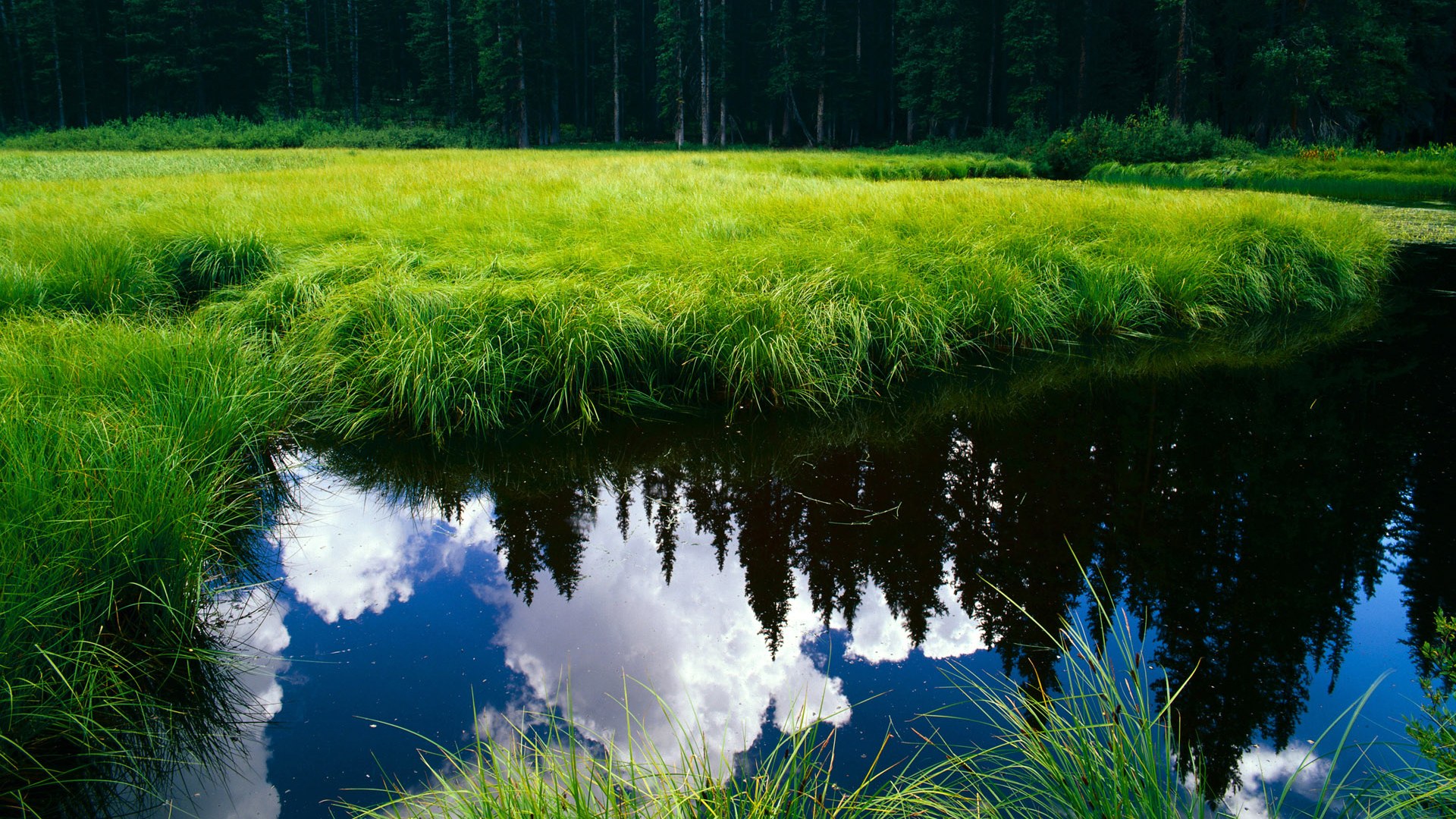 小舞台的压哨绝杀，大舞台的超级巨星—论竞技体育的场合之力