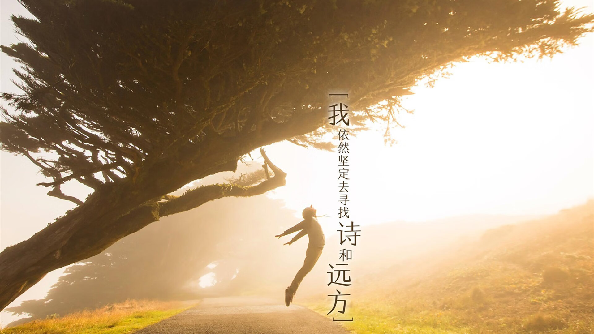 双重跨界接管，当森林狼撕碎猛龙，利拉德用足球语言诠释决胜时刻