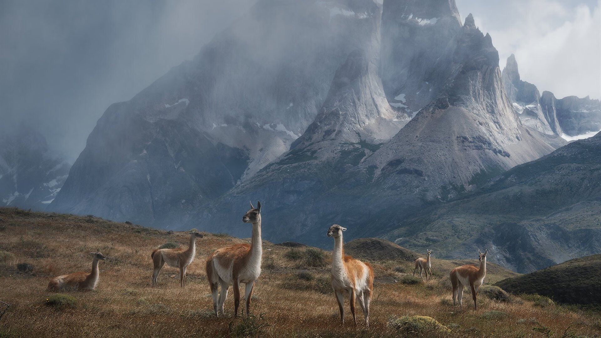 掘金掀翻骑士,贝恩的手术刀,切开钢铁之城的防线