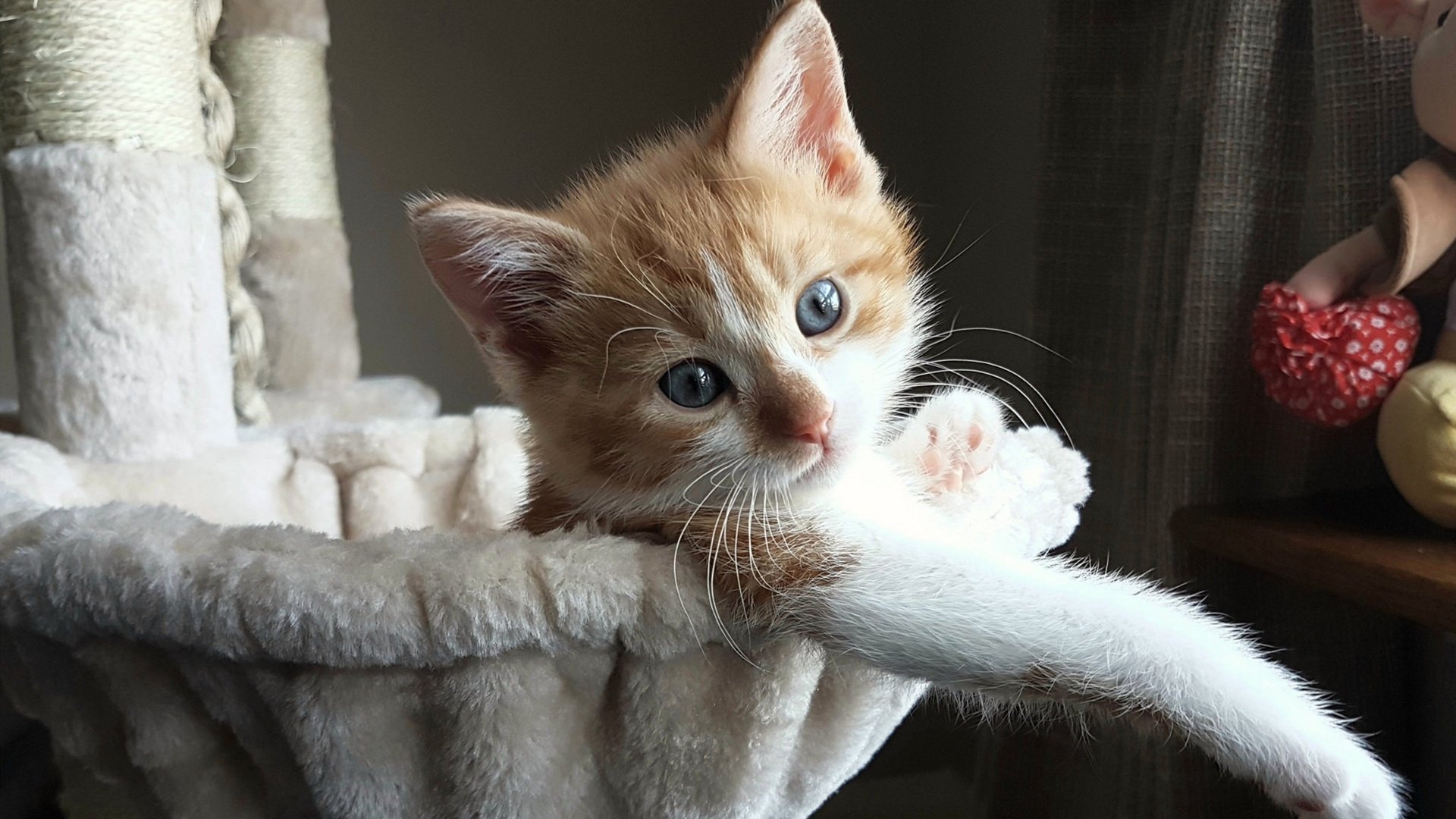 破局时刻，阿尔瓦雷斯化身关键先生，引领乌克兰球队马里力克逆境前行