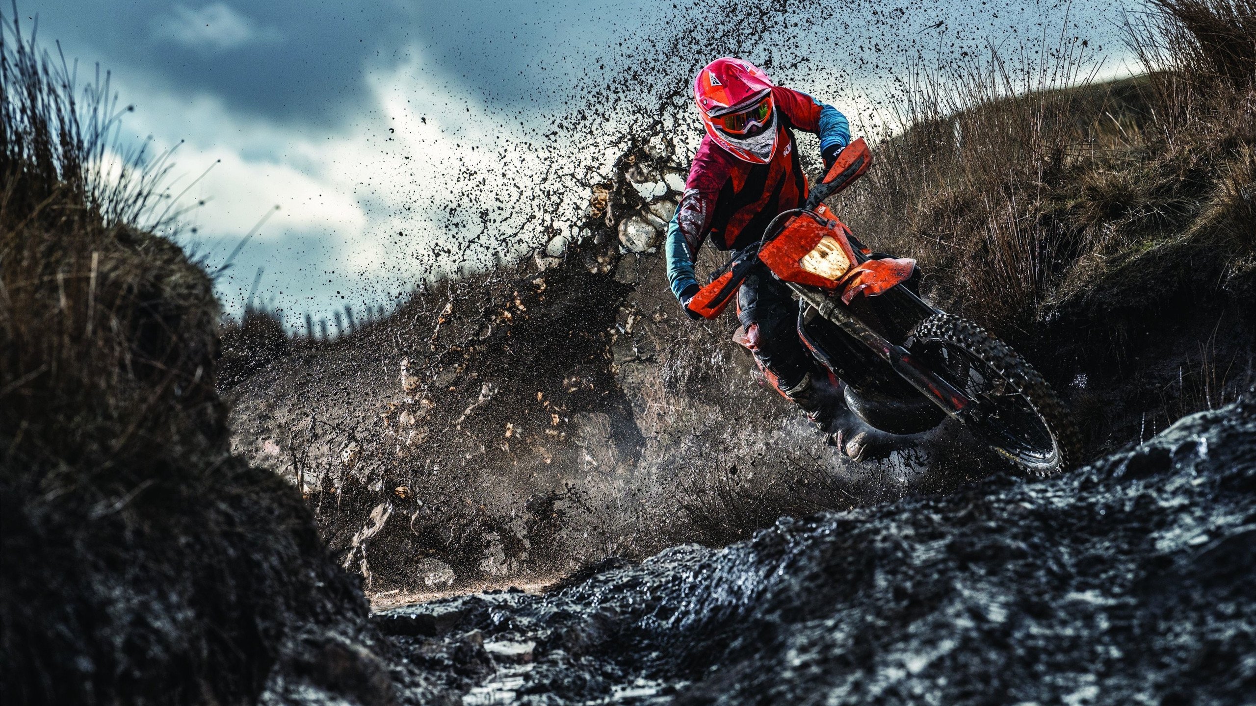 非洲雄鹰啄伤蓝鹰!那不勒斯防线遭尼日利亚双星肢解,奥亚尔萨瓦尔演绎完美进攻