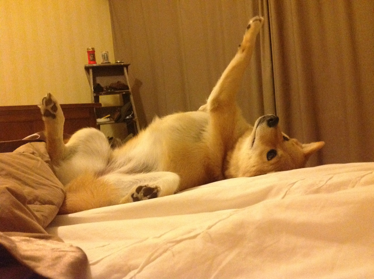 战斧劈开黑夜，浓眉总决赛之夜的王者归来