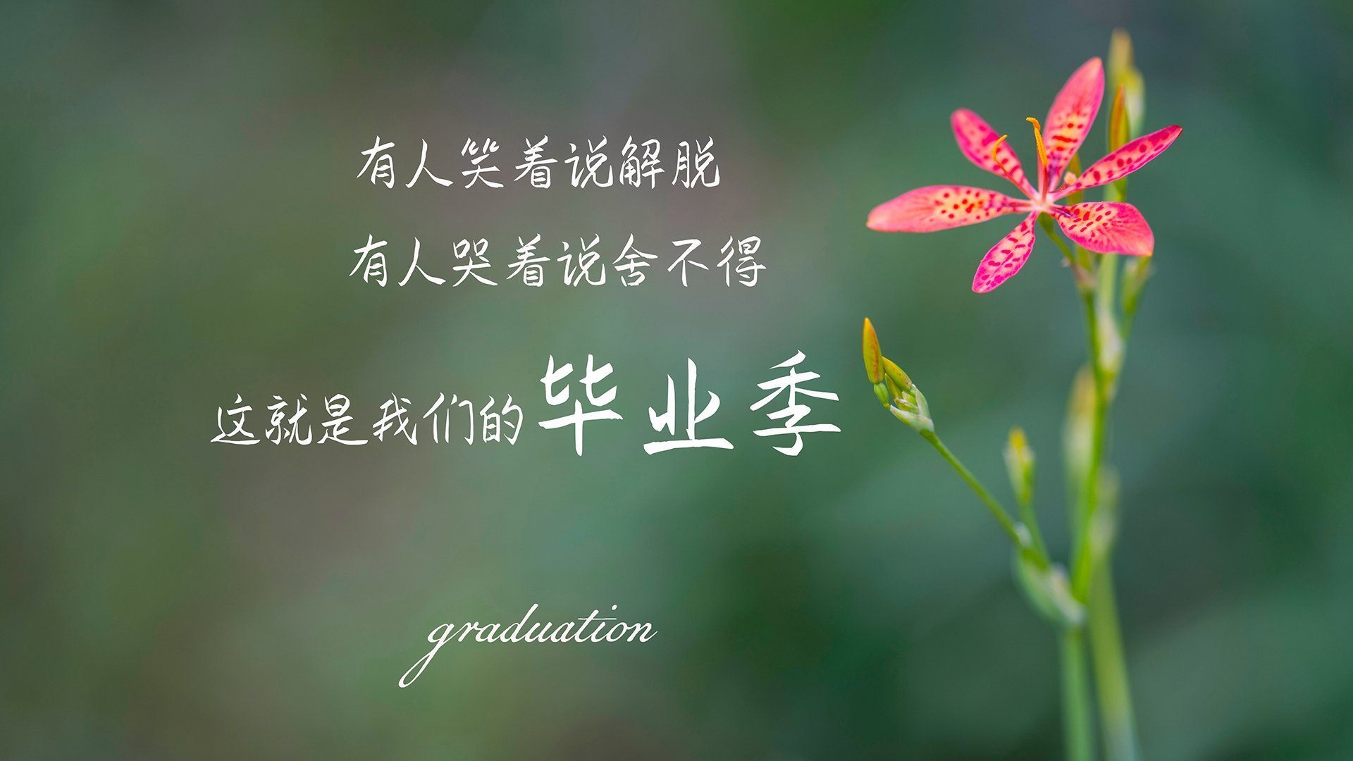 开云体育在线-起跑线上，当文班亚马在F1引擎轰鸣中拨动马刺的节奏齿轮